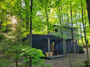 Black Pine Tree House